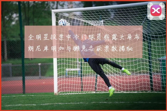 全明星投票中冷门球员崭露头角布朗尼库明加与獭兔各获票数揭秘