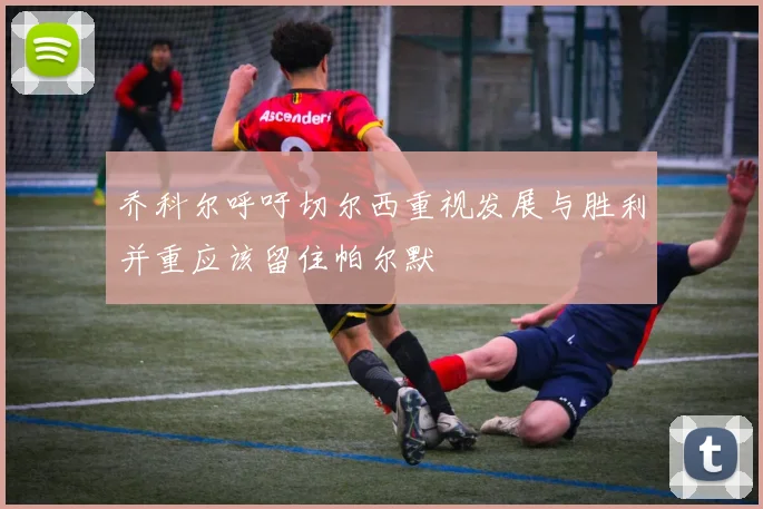 乔科尔呼吁切尔西重视发展与胜利并重应该留住帕尔默