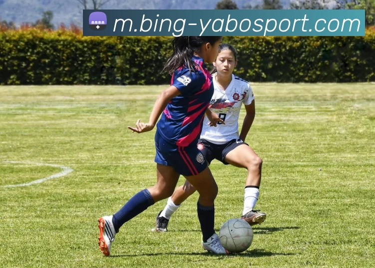 亚博体育发展历程